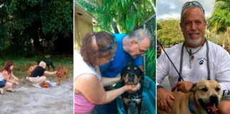 Un hombre en Florida dedica su vida a rescatar y alimentar perros sin hogar.