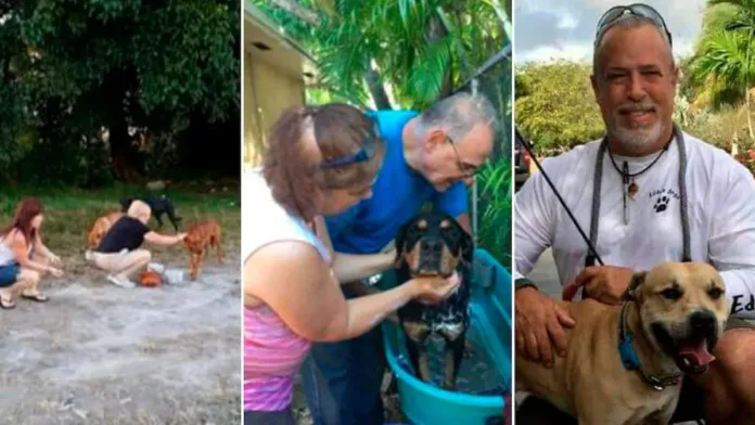 Un hombre en Florida dedica su vida a rescatar y alimentar perros sin hogar. Un hombre en Florida dedica su vida a rescatar y alimentar perros sin hogar.