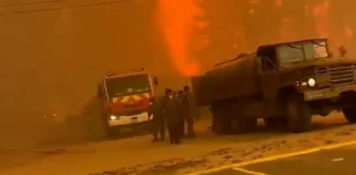 Evacuación en Chile por incendio forestal descontrolado en el centro del país.