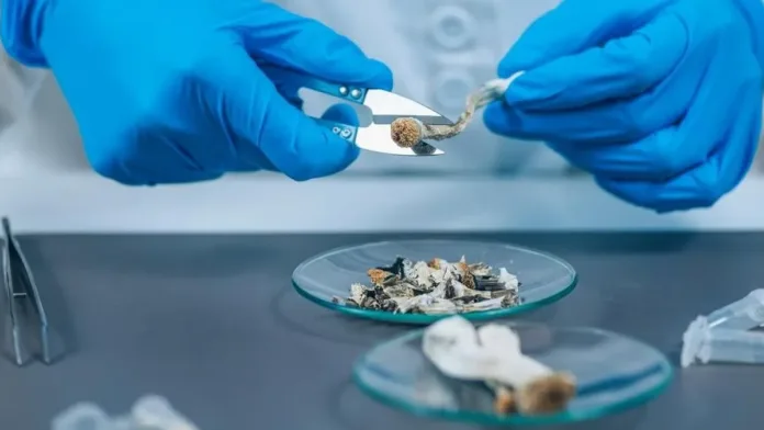 La psilocibina La psilocibina