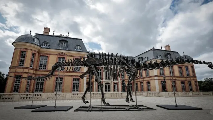 Subastan el esqueleto de dinosaurio más grande del mundo Subastan el esqueleto de dinosaurio más grande del mundo