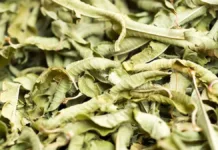 Descubre cómo la planta que alivia la inflamación combate el estrés.