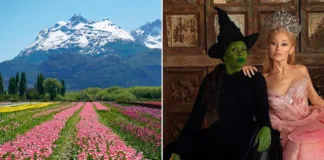 Descubre cómo 9 millones de tulipanes transformaron el mundo de Wicked.