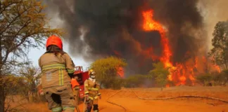 Alerta Roja en Lampa: incendio forestal pone en riesgo viviendas cercanas.