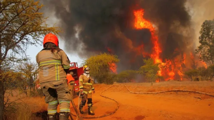 Alerta Roja en Lampa: incendio forestal pone en riesgo viviendas cercanas. Alerta Roja en Lampa: incendio forestal pone en riesgo viviendas cercanas.