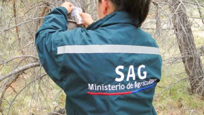 La periodista del SAG defiende su salario: méritos La periodista del SAG defiende su salario: méritos
