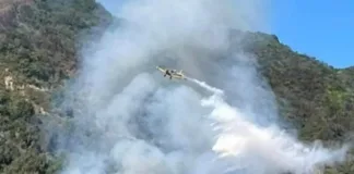 Incendio forestal en Valparaíso: 1 vivienda destruida y alerta roja activada.