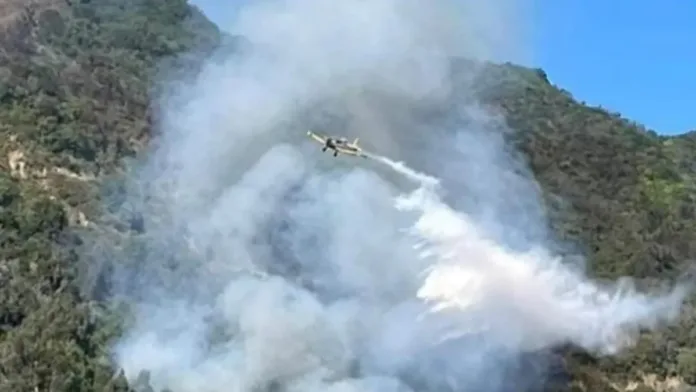 Incendio forestal en Valparaíso: 1 vivienda destruida y alerta roja activada. Incendio forestal en Valparaíso: 1 vivienda destruida y alerta roja activada.