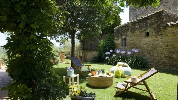 Descubre los árboles que pueden dañar tu jardín por sus raíces invasivas. Descubre los árboles que pueden dañar tu jardín por sus raíces invasivas.