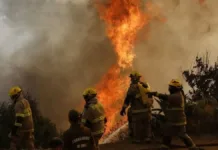 Quilpé en alerta roja: incendios forestales amenazan la seguridad de la región.