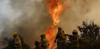 Quilpé en alerta roja: incendios forestales amenazan la seguridad de la región.
