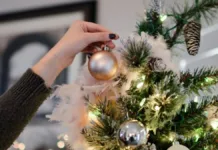 Aguinaldo navideño 2024: fechas y montos para pensionados y empleados públicos.