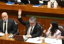 Mineduc aclara que la UDI no afecta el proceso actual del SAE con su indicación.