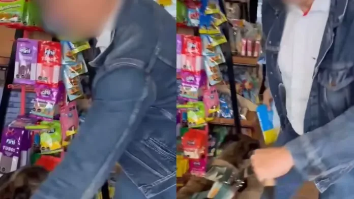 Viralizan caso de maltrato animal en San Pedro de la Paz: hombre agredió a un perro. Viralizan caso de maltrato animal en San Pedro de la Paz: hombre agredió a un perro.