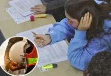 Descubre la carrera de ingeniería más lucrativa en Chile para 2024.