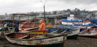 FACh se une a la búsqueda de cinco pescadores desaparecidos en Los Ríos.