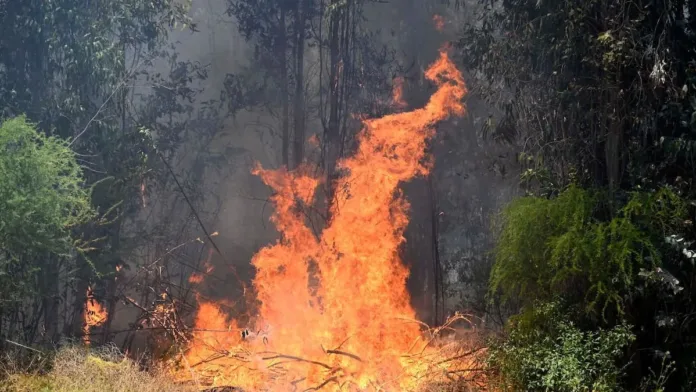 Evacuación preventiva en Villa Millantú por incendio forestal en O'Higgins. Evacuación preventiva en Villa Millantú por incendio forestal en O'Higgins.