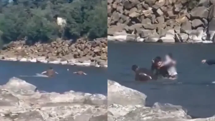Carabineros salvan a niña de 12 años en el río Cautín durante la Navidad. Carabineros salvan a niña de 12 años en el río Cautín durante la Navidad.