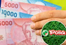 Consulta tu RUT y descubre si eres uno de los afortunados ganadores de $3M.