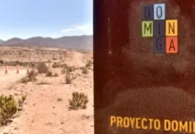 El tribunal anula el rechazo ambiental al proyecto Dominga