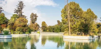 El parque de Santiago: un santuario de naturaleza con árboles ancestrales.