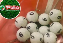 Descubre si hoy es el día de tu suerte en La Suerte de Ser Chileno 2024.