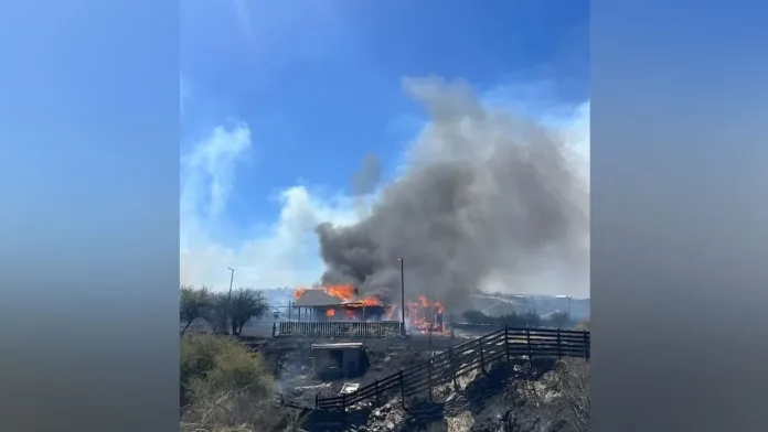 Incendio en Litueche y Las Cabras: 500 hectáreas arrasadas y seis viviendas afectadas. Incendio en Litueche y Las Cabras: 500 hectáreas arrasadas y seis viviendas afectadas.