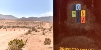 El Tribunal Ambiental desestima recurso del Gobierno sobre el proyecto Dominga.