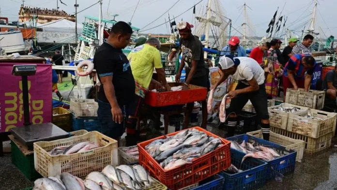 Brasil alcanza su menor tasa de cesantía en más de una década.
