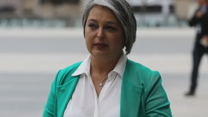 Ministra Jara denuncia desinformación de AFP para frenar reforma de pensiones. Ministra Jara denuncia desinformación de AFP para frenar reforma de pensiones.