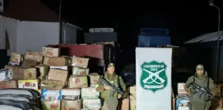 Operativo en Visviri: un detenido y contrabando valorado en más de $5 millones.