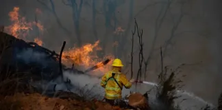 Alerta roja en Curacautín por incendio forestal que amenaza la zona.