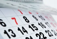 Descubre los feriados de 2025 en Chile y cómo se celebrarán las festividades.
