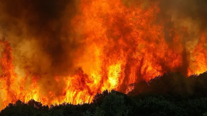 Descubre la vulnerabilidad de tu barrio a incendios forestales este verano. Descubre la vulnerabilidad de tu barrio a incendios forestales este verano.