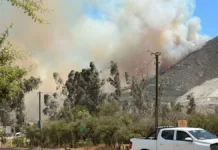 Alerta roja en Catemu: incendio consume 50 hectáreas y 25 evacuados.