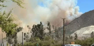 Alerta roja en Catemu: incendio consume 50 hectáreas y 25 evacuados.
