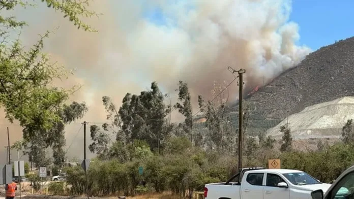 Alerta roja en Catemu: incendio consume 50 hectáreas y 25 evacuados. Alerta roja en Catemu: incendio consume 50 hectáreas y 25 evacuados.