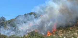 Tres casas afectadas por incendio en Paine; bomberos trabajan y se ordena evacuación.