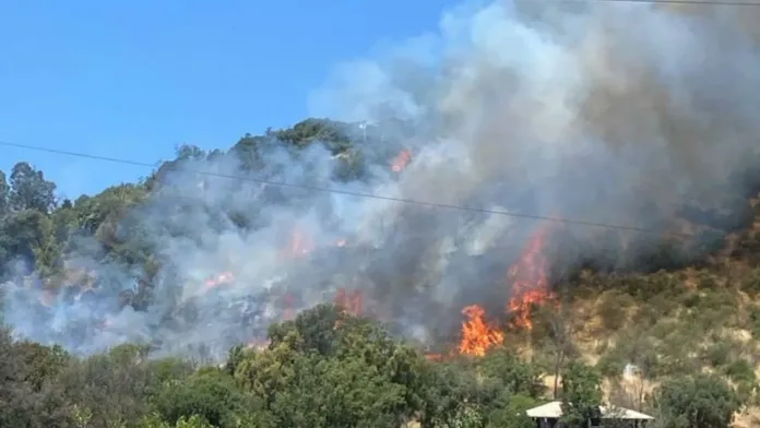 Tres casas afectadas por incendio en Paine; bomberos trabajan y se ordena evacuación. Tres casas afectadas por incendio en Paine; bomberos trabajan y se ordena evacuación.