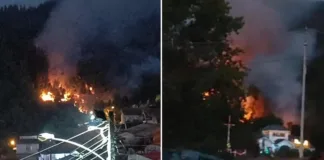 Incendio forestal en Villa Los Aromos