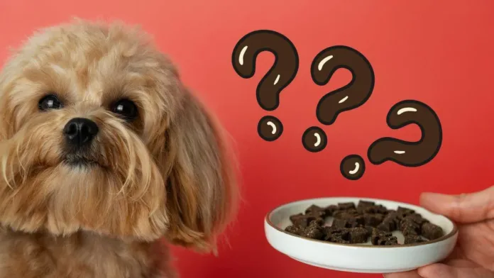 Descubre cuántas veces y cuándo alimentar a tu perro para su salud óptima. Descubre cuántas veces y cuándo alimentar a tu perro para su salud óptima.