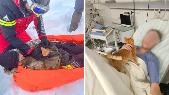 Un gato heroico salva a un hombre atrapado en una tormenta en Ucrania. Un gato heroico salva a un hombre atrapado en una tormenta en Ucrania.