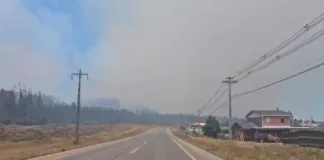 Alerta Temprana Preventiva en Bío Bío por riesgo de incendios forestales.
