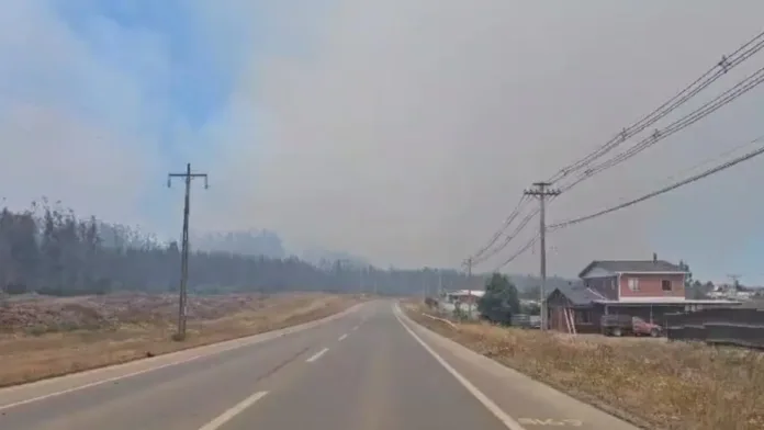 Alerta Temprana Preventiva en Bío Bío por riesgo de incendios forestales. Alerta Temprana Preventiva en Bío Bío por riesgo de incendios forestales.