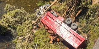 Camión con corderos cae al río entre Villarrica y Freire; se reportan personas atrapadas.