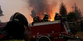Alerta Roja en Lampa: incendio forestal arrasa más de 50 hectáreas.