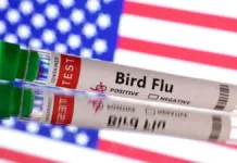 Detectan mutaciones del virus de la gripe aviar en primer caso grave en humanos.