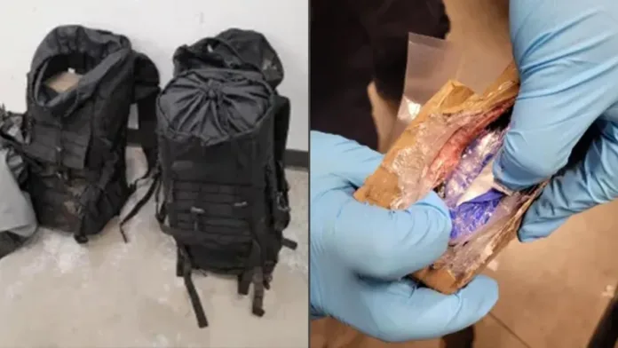 Cocaína oculta en mochilas: más de un millón de dólares en la frontera con Canadá. Cocaína oculta en mochilas: más de un millón de dólares en la frontera con Canadá.