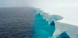 El iceberg más grande del mundo se aproxima a las Islas Georgias del Sur.