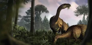 Restos fosilizados revelan secretos sobre el dominio de los dinosaurios en la Tierra.